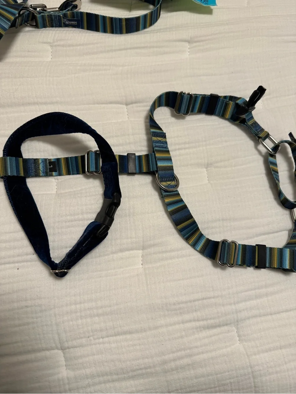 Freedom No-Pull Dog Harness set- Large, blue stripe. Harness and leash included.
